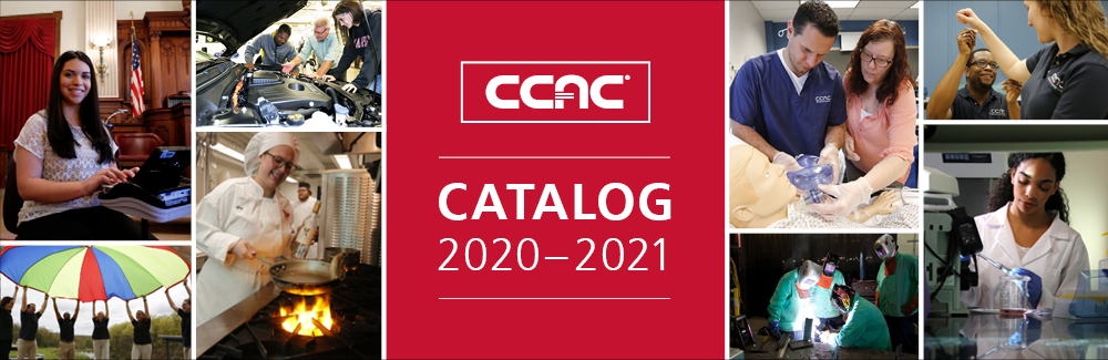 Catalog Home page header